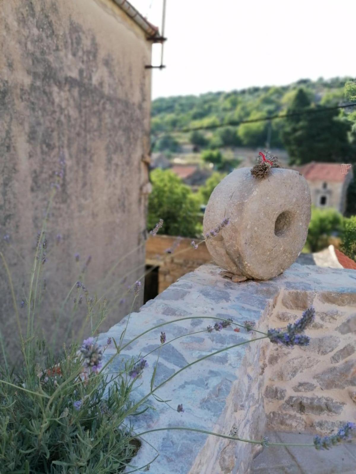 Teza Hvar Villaer